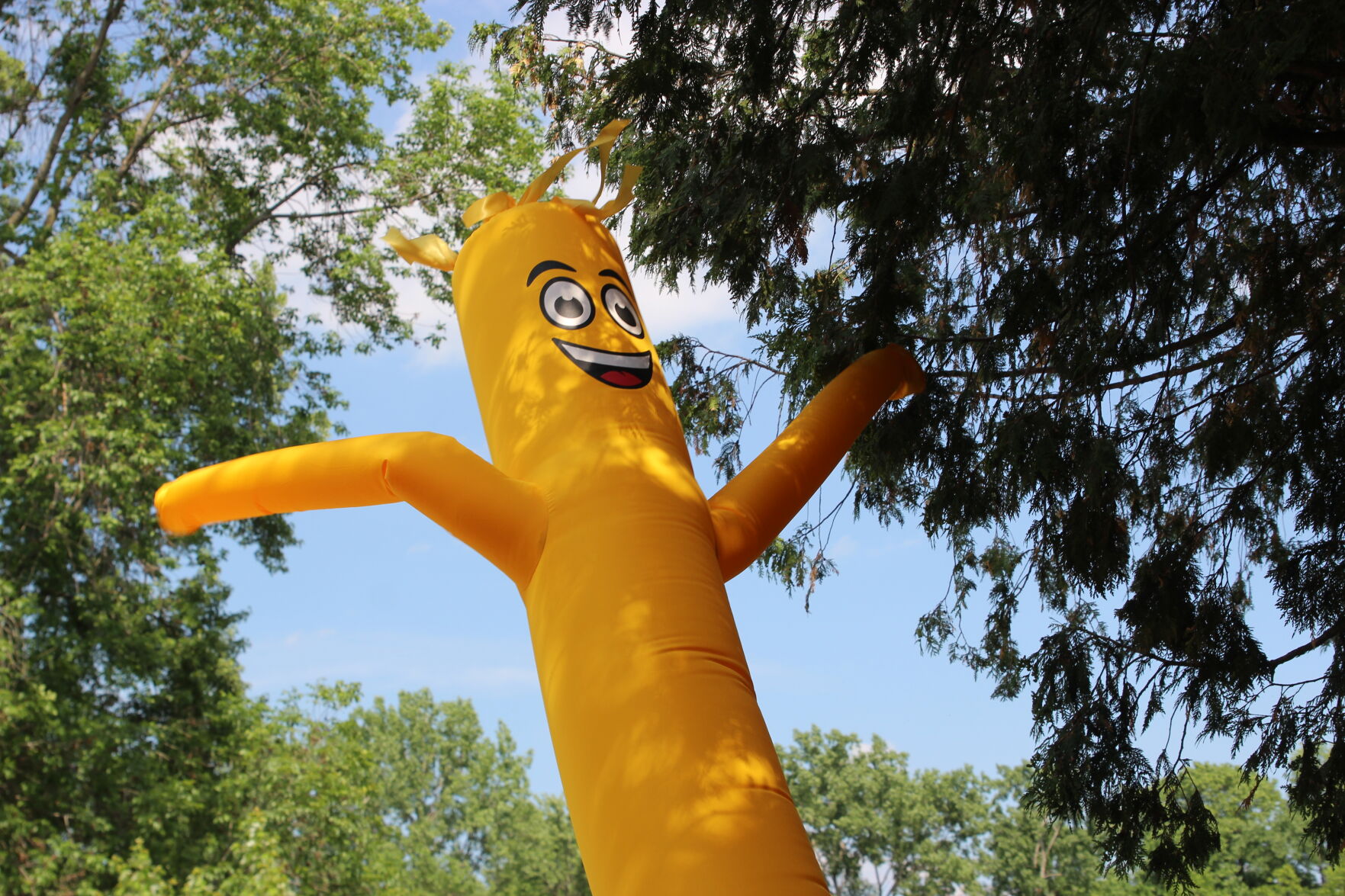 Wacky waving inflatable arm flailing tube man